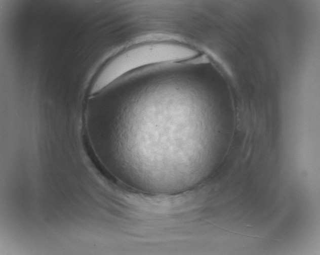 X0000068860015200605192029