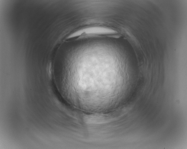 X0000068860024200605192029