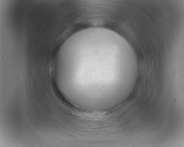 X0000068860032200605192029
