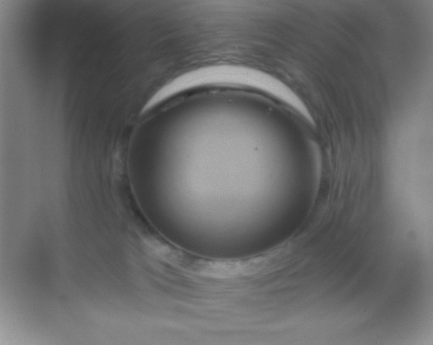 X0000068860037200605192029