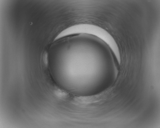 X0000068860041200605192029