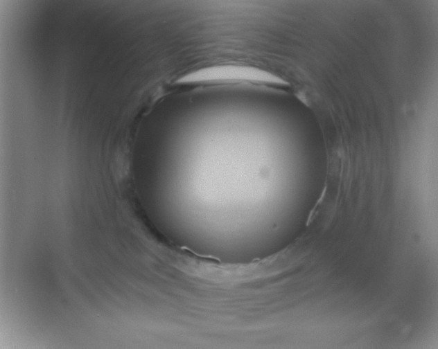X0000068860043200605192028