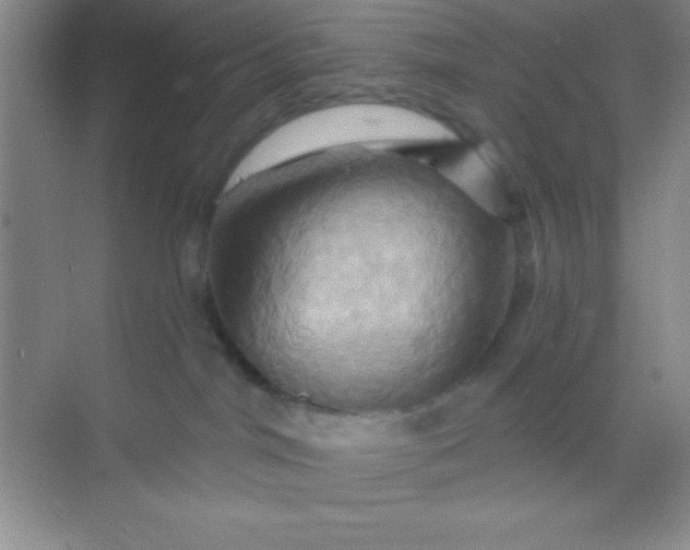 X0000068860044200605192028
