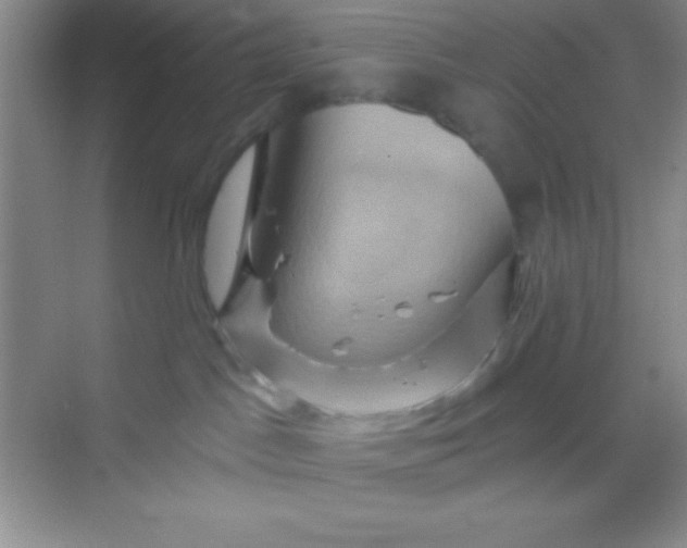 X0000068860045200605192028