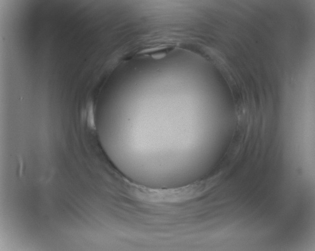 X0000068860046200605192028