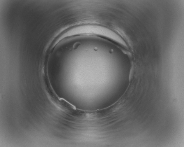 X0000068860060200605192028