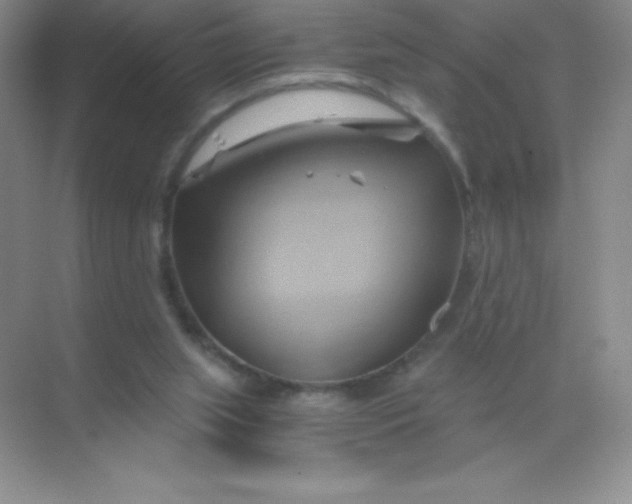 X0000068860063200605192028