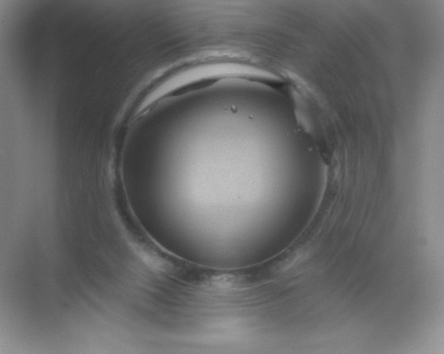 X0000068860064200605192028