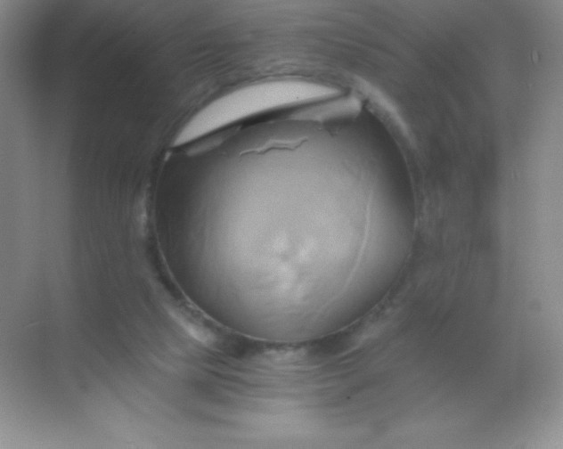 X0000068860065200605192028