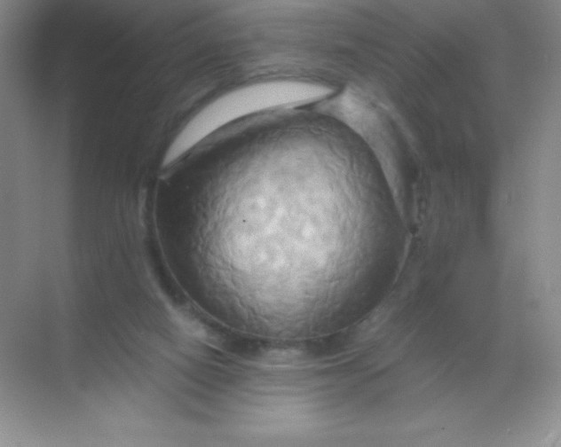 X0000068860066200605192028