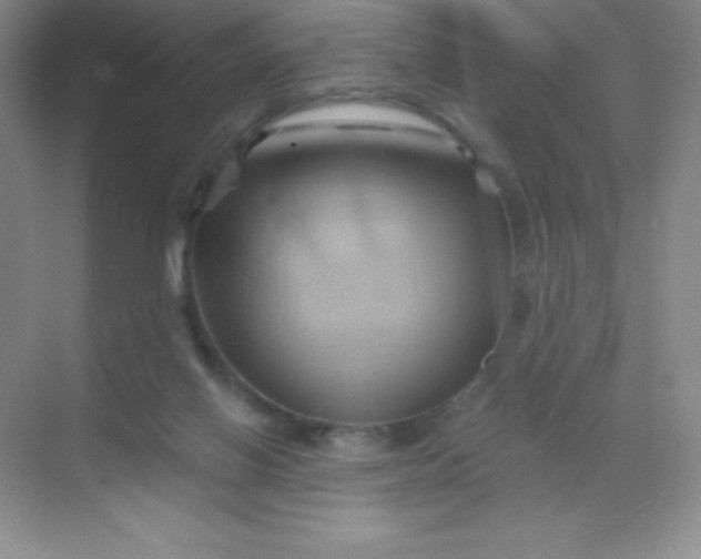 X0000068860070200605192028