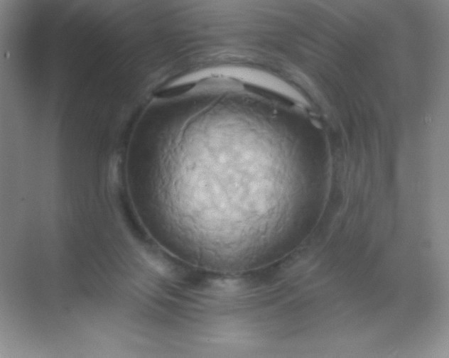 X0000068860071200605192028