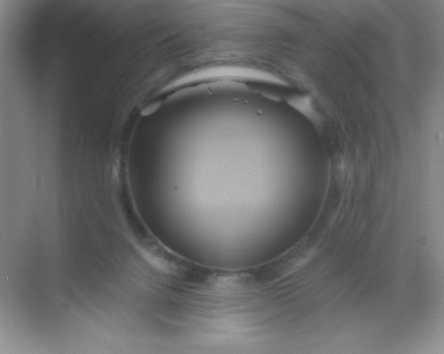 X0000068860072200605192028