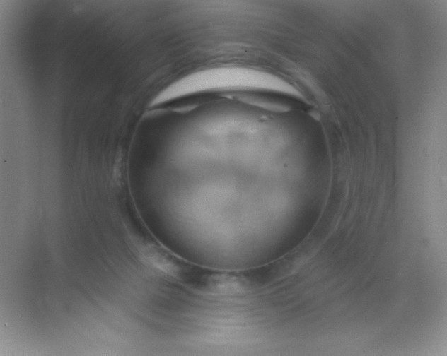 X0000068860073200605192028