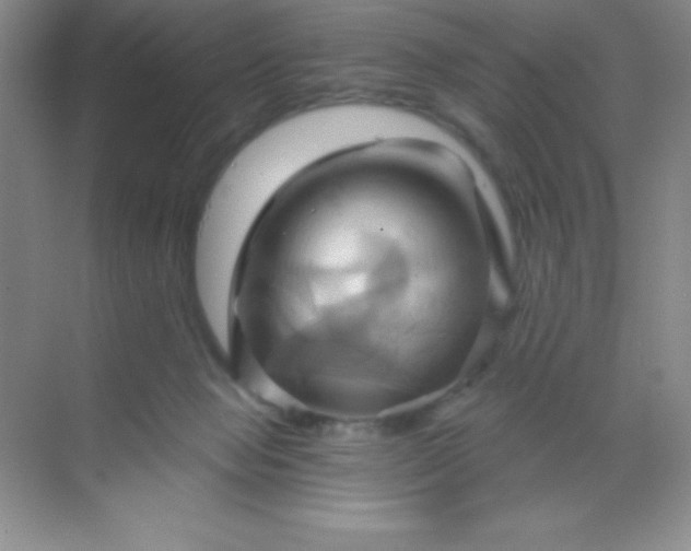 X0000068860077200605192028