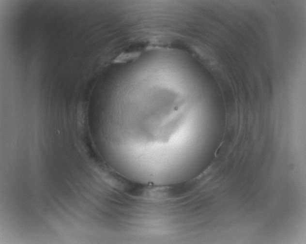 X0000068860078200605192028