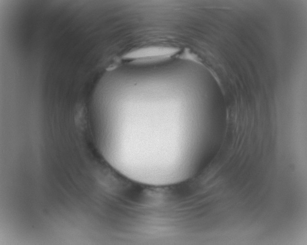 X0000068860079200605192028