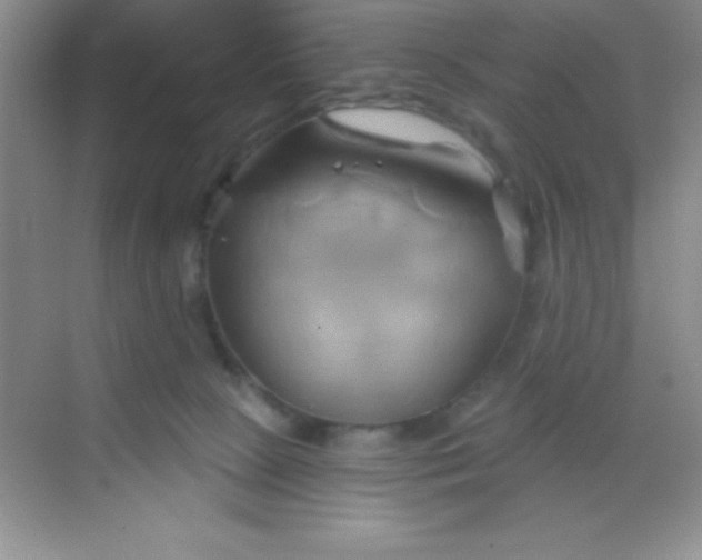 X0000068860081200605192028