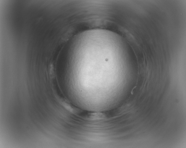 X0000068860087200605192028