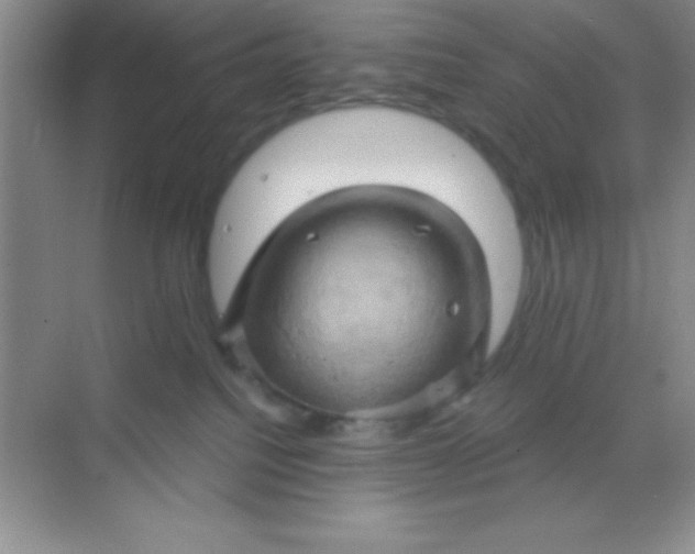 X0000068860088200605192028