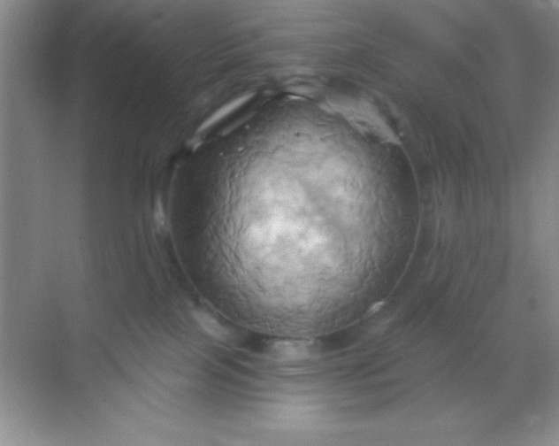 X0000068860089200605192028