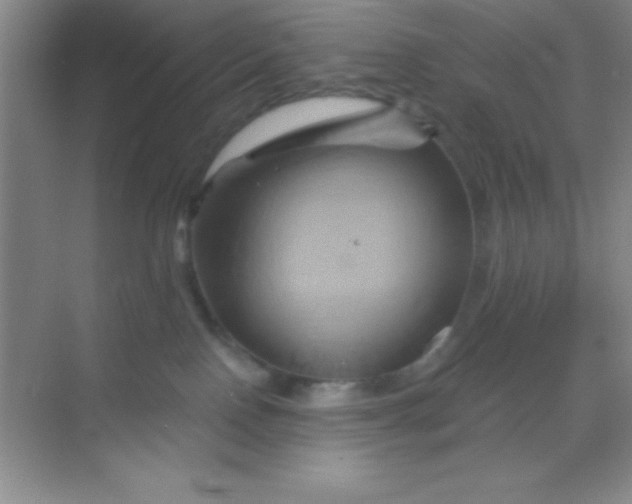 X0000068860090200605192028