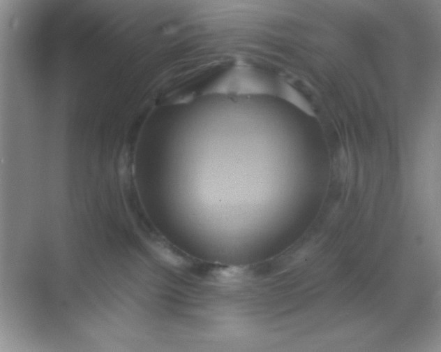 X0000068860092200605192028