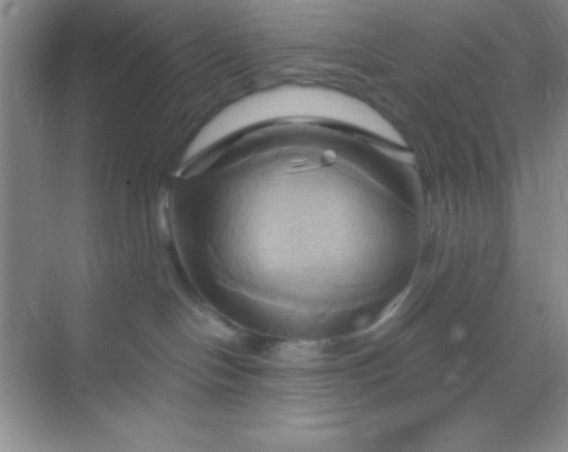X0000068860094200605192028