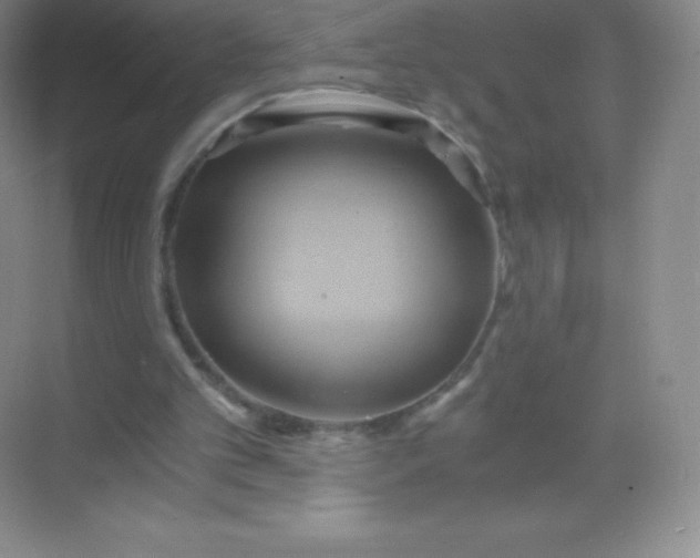 X0000068860101200605192028