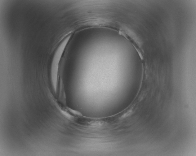 X0000068860105200605192027