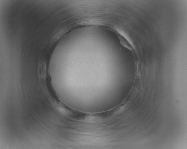 X0000068860109200605192027