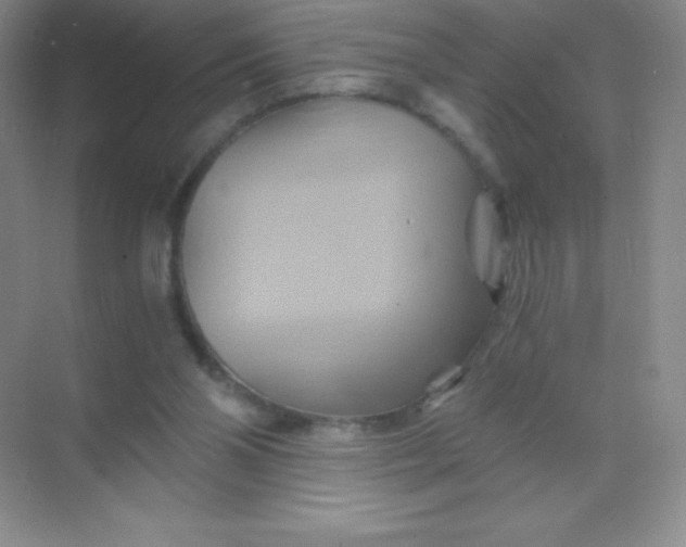 X0000068860110200605192027
