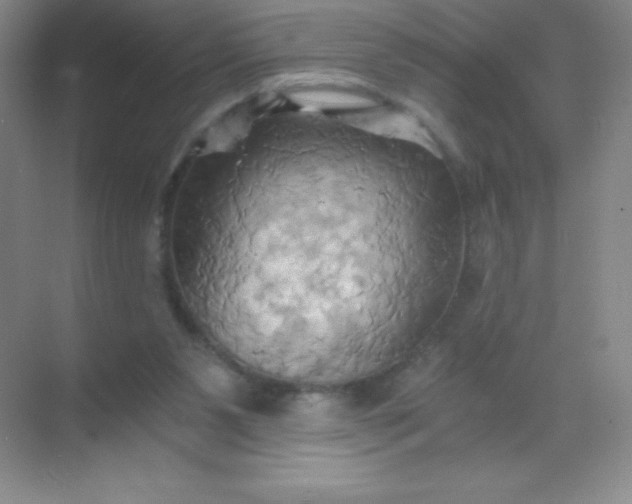 X0000068860111200605192027