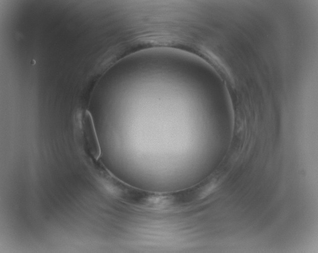X0000068860117200605192027