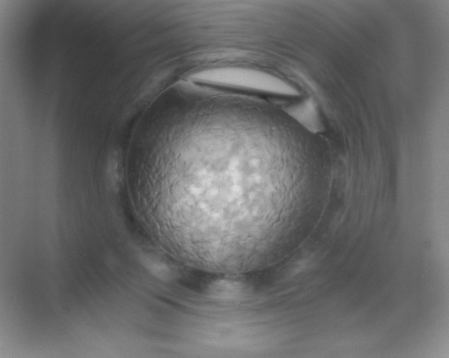 X0000068860119200605192027