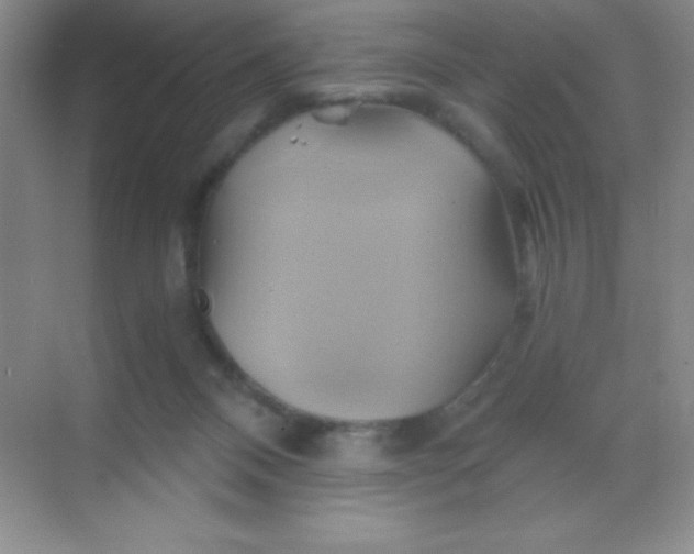 X0000068860120200605192027
