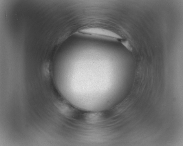 X0000068860122200605192027