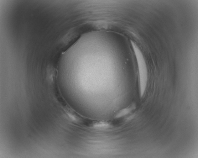 X0000068860125200605192027
