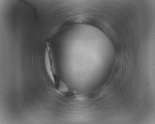 X0000068860127200605192027