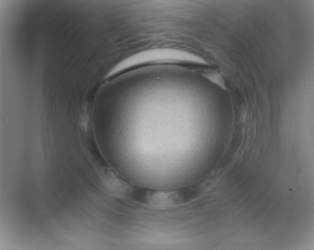 X0000068860129200605192027