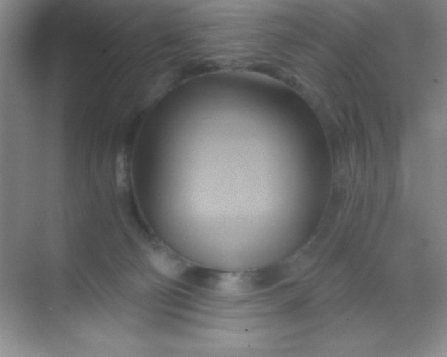 X0000068860130200605192027