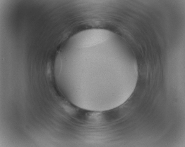 X0000068860132200605192027