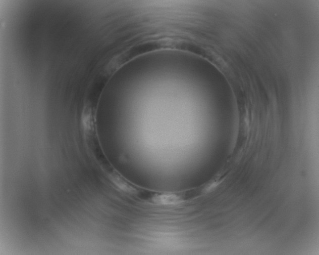 X0000068860137200605192027