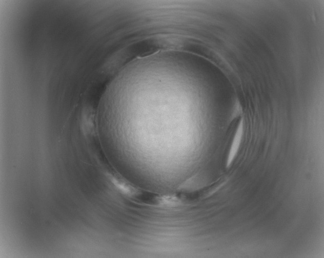 X0000068860141200605192027