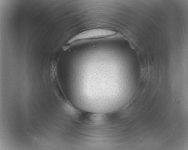 X0000068860142200605192027