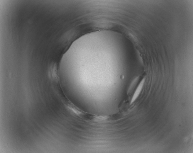 X0000068860143200605192027