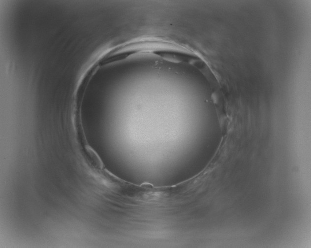 X0000068860152200605192026