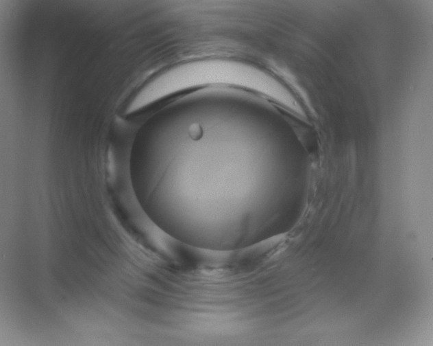 X0000068860154200605192026