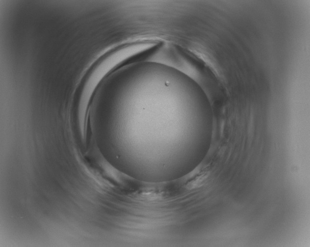 X0000068860156200605192026