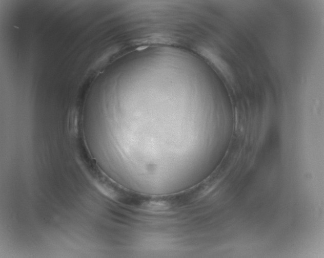 X0000068860157200605192026